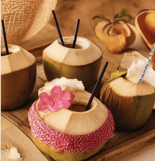 coconut drinks at clearwater beach