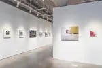 Collecting Focus: Fine Art Photography
