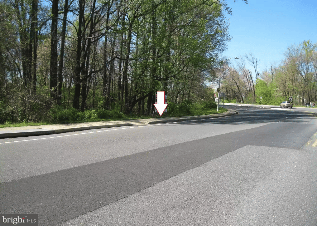 Roadside view of a wooded lot, with an arrow pointing toward the trees.
