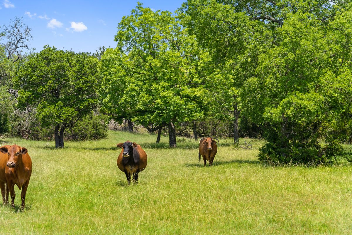 12684 S STATE HWY 6 | 405.65 ACRES