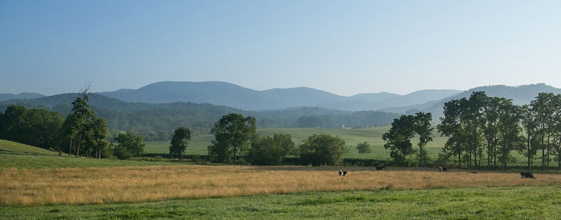 Winding Ridge