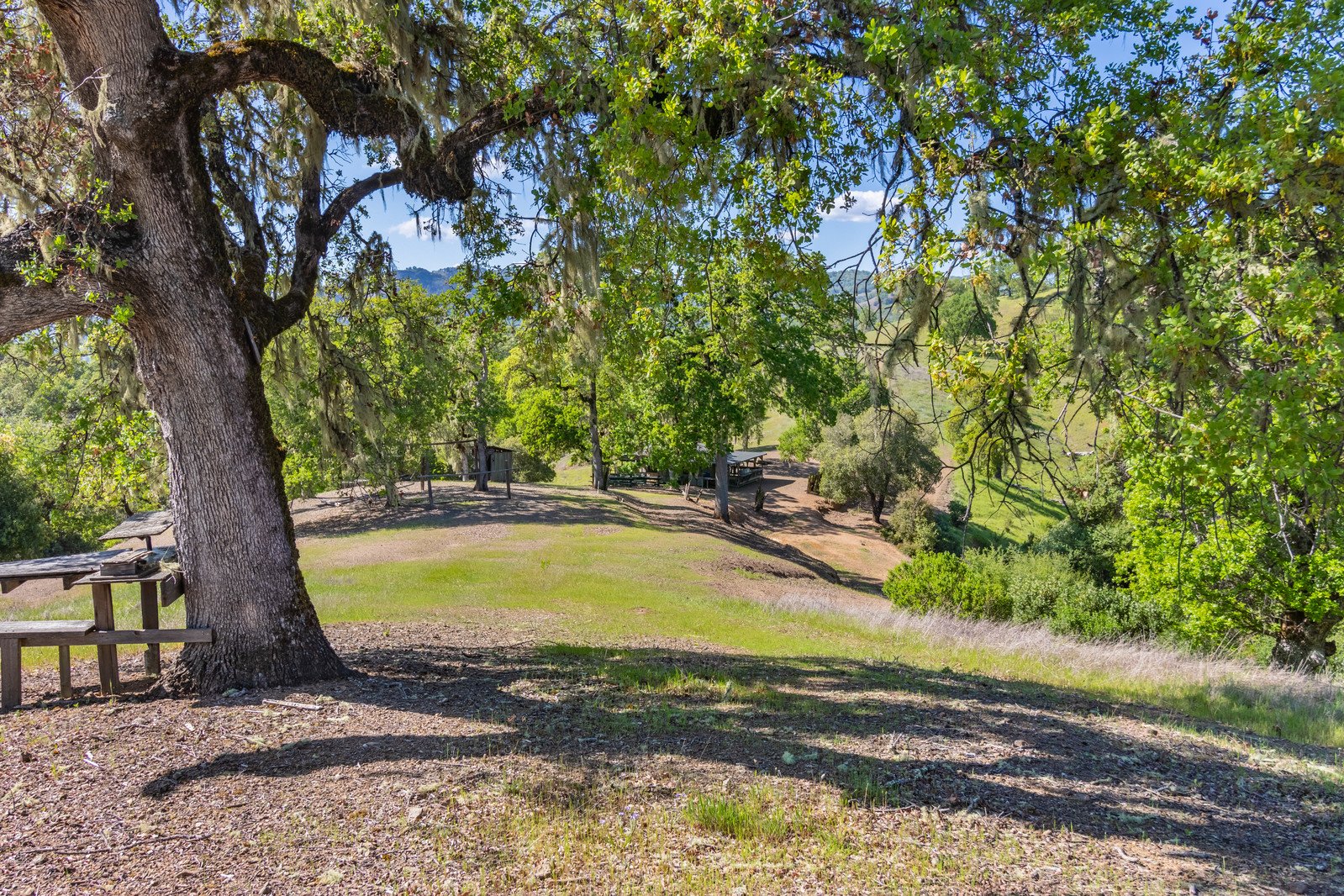 2800 Feliz Creek Rd.