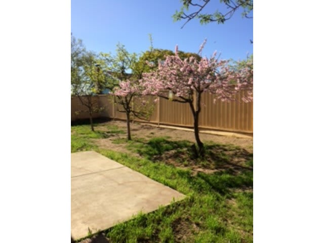 3109 Barletta Ln