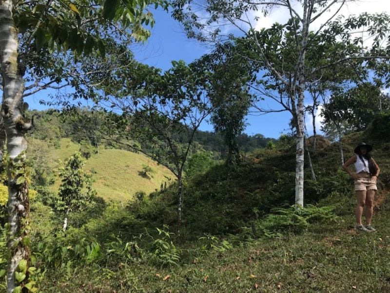 Spring Fed Ocean View Acreage, Uvita, Puntarenas