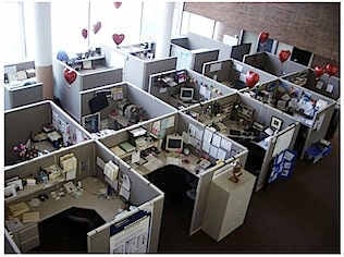 OfficeCubeFarm.jpg