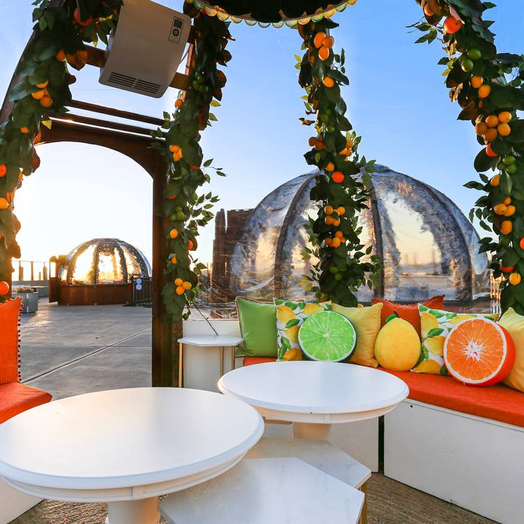 Pop-Up Igloos In & Around Newport