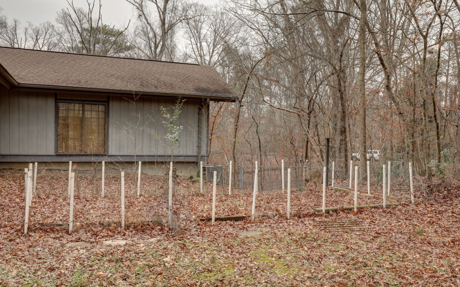 1165 W Garmon Road