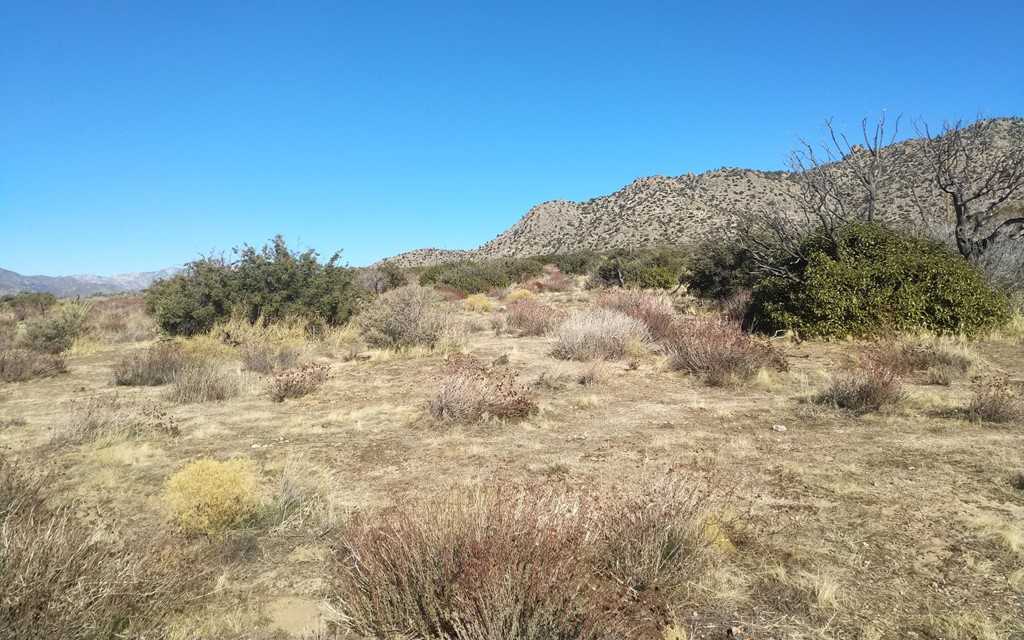 99 Alpine Road