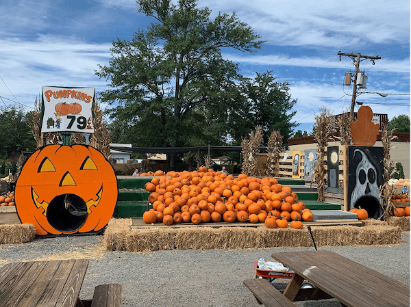 4 Activities To Add To Your Autumn Bucket List