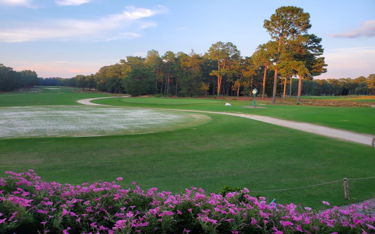 Serene golf course surrounded by vibrant flowers and lush green grass.