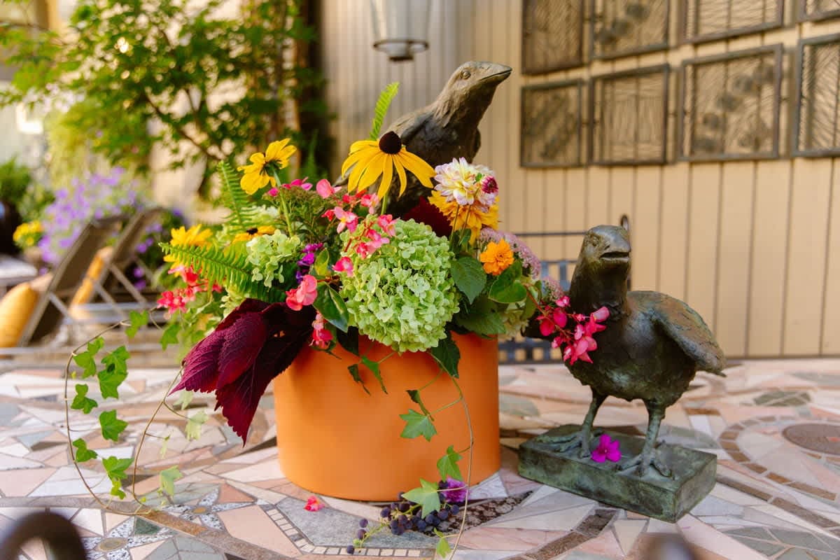 How to Bring the Indoors Out