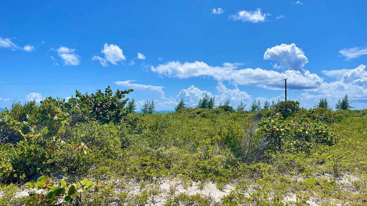 150 Anegada 0.517 Acres