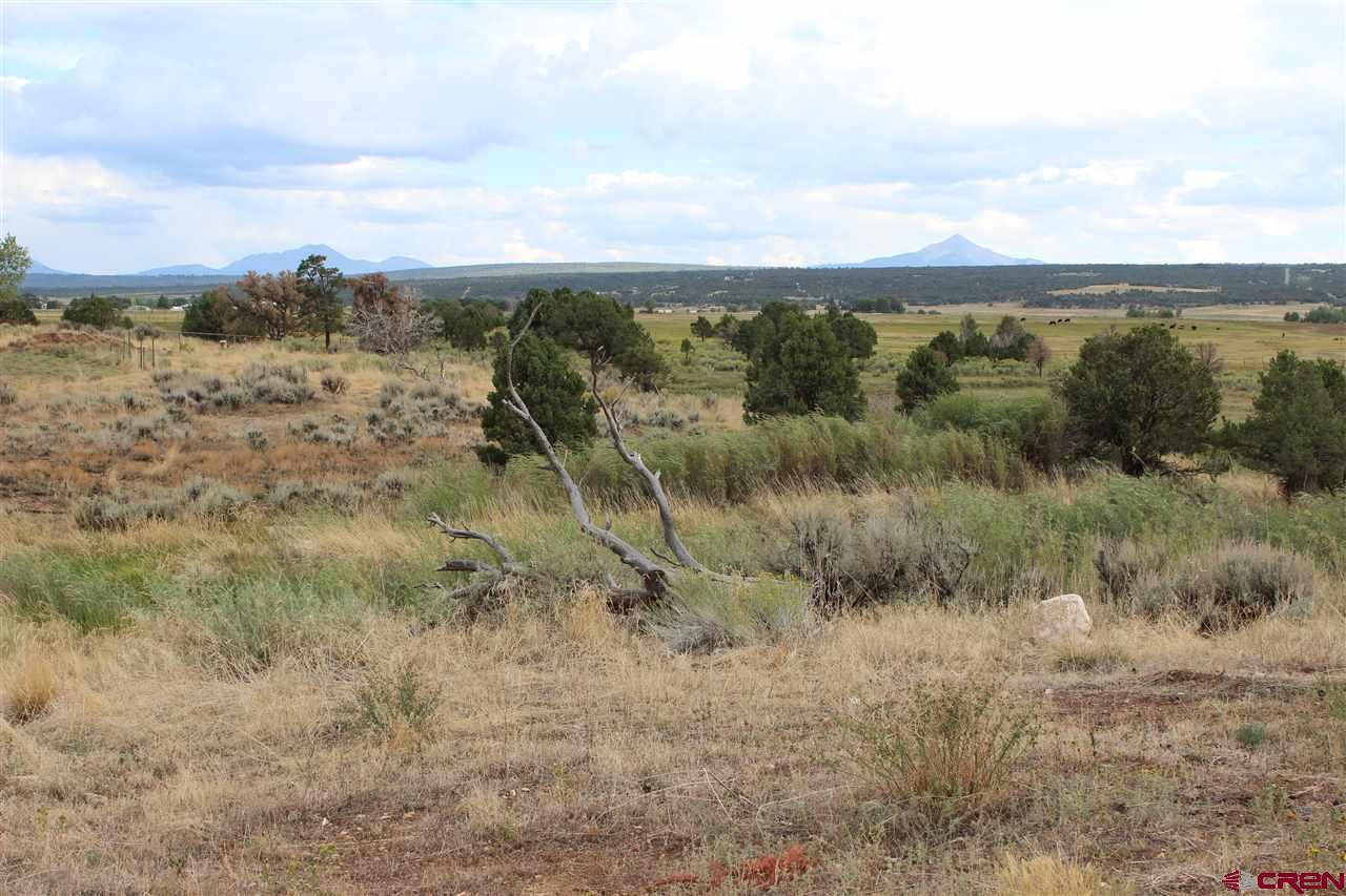 TBD Pioneer Circle #6 Dr