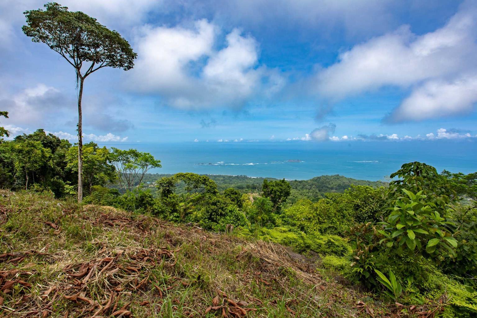 Rare Opportunity: Pristine 16-Acre Oceanview Sanctuary for Exclusive Development in Uvita
