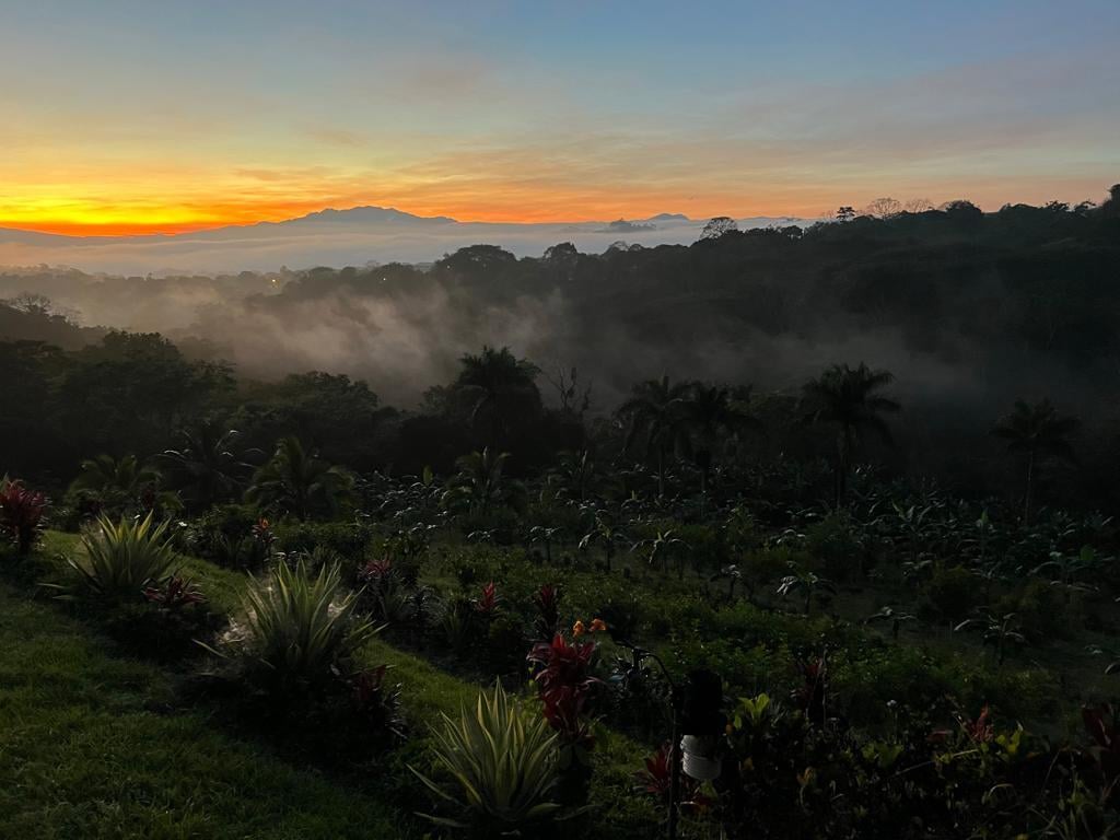 Waterfall Coffee Estate Villa, Atenas, Alajuela