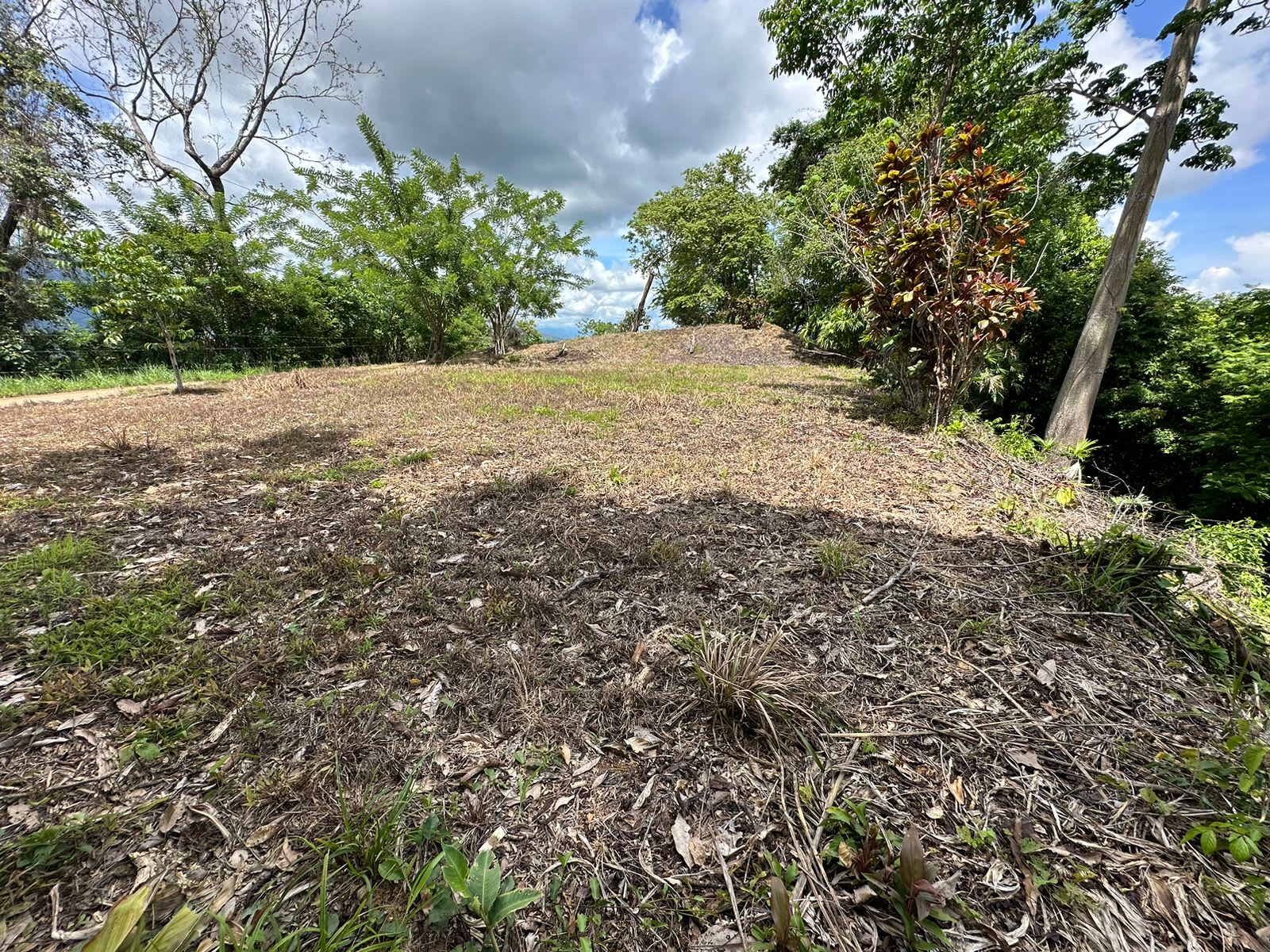Ocean View Lot Priced to sell