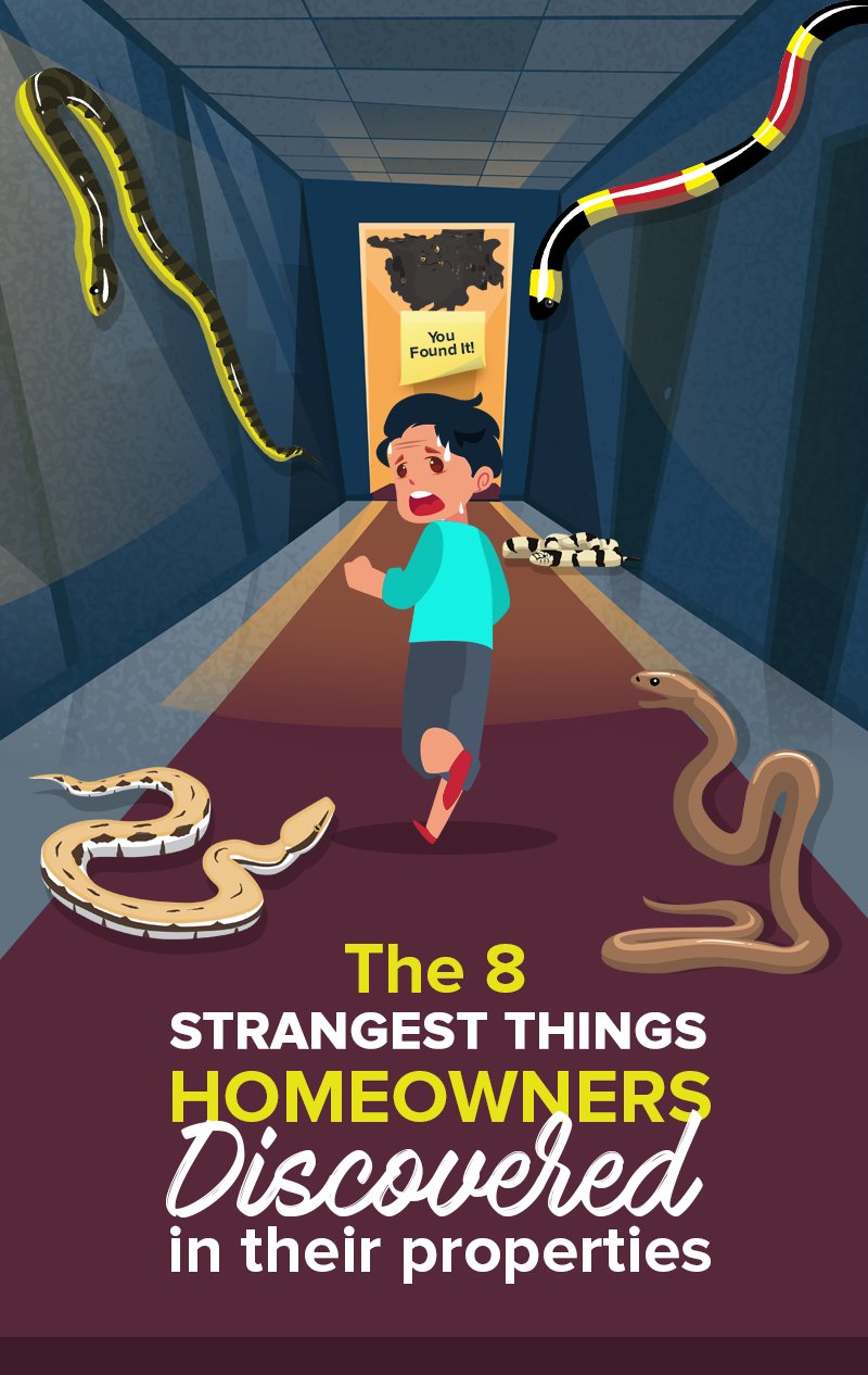 8 Of The Most Unexpected Things US Homeowners Found In Their Properties