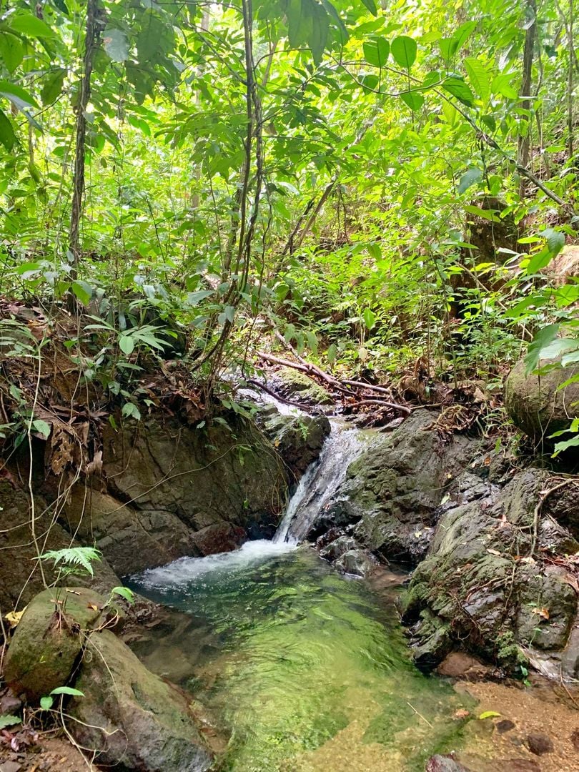 Triple Waterfall Ocean View Land, Dominical, Puntarenas