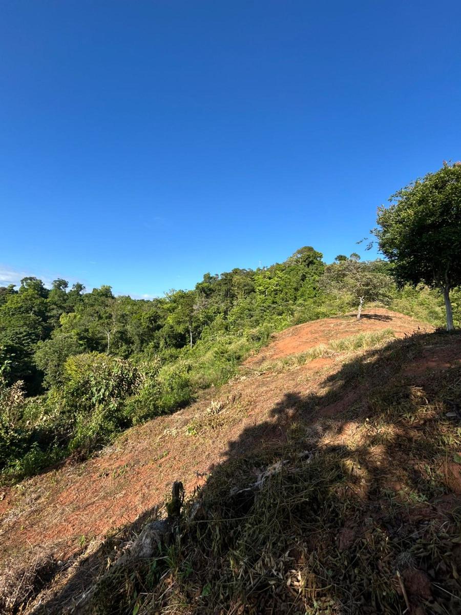 Waterfall Eco Development Land, Osa, Puntarenas