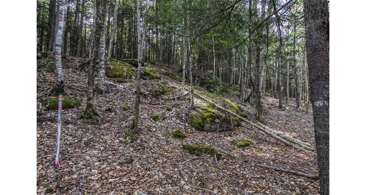 Land For Sale – 0 Collinsbrook Road, Brunswick, Maine 04011