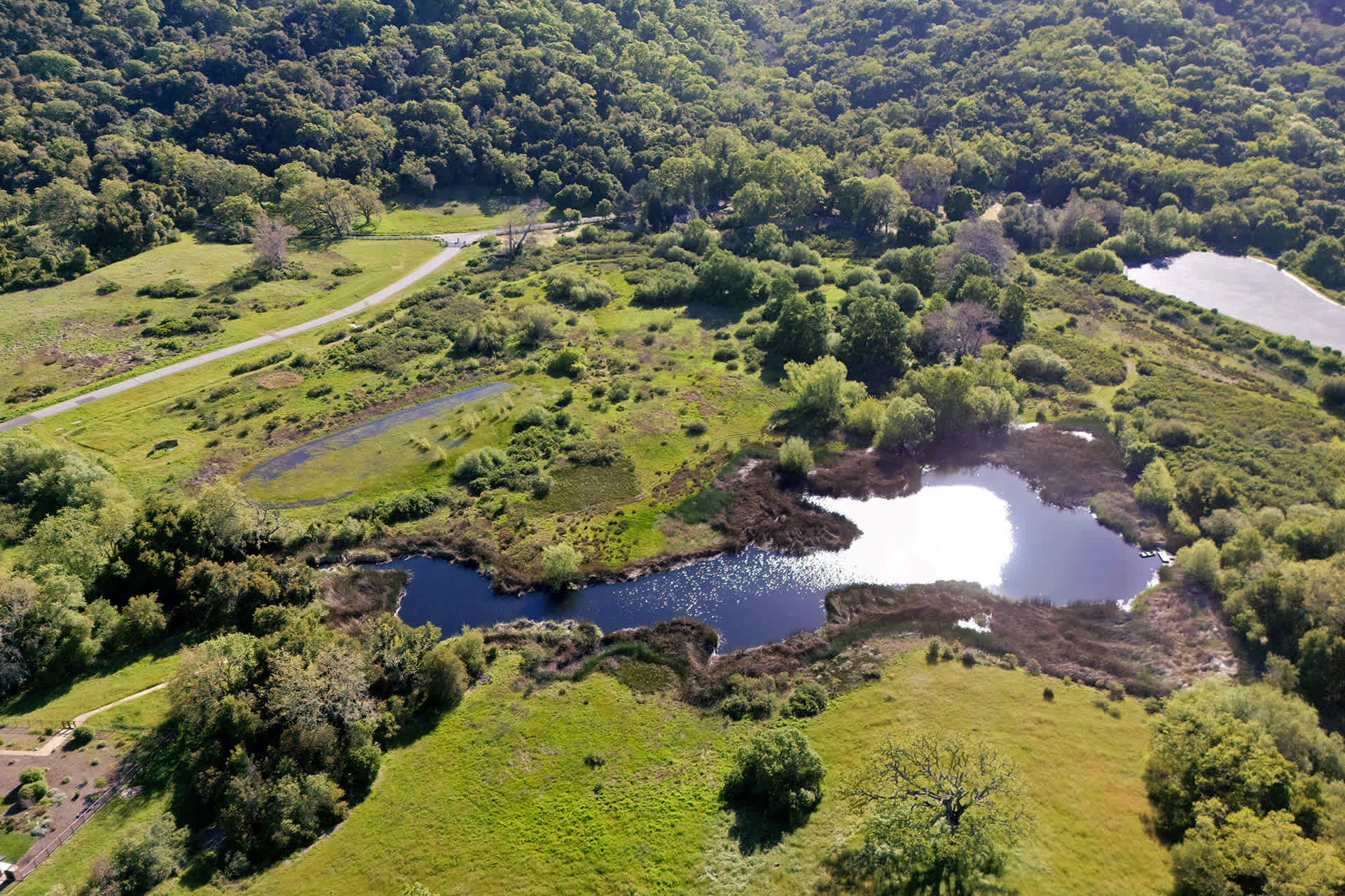 Stunning Preserve Compound - 34205 Robinson Canyon Rd