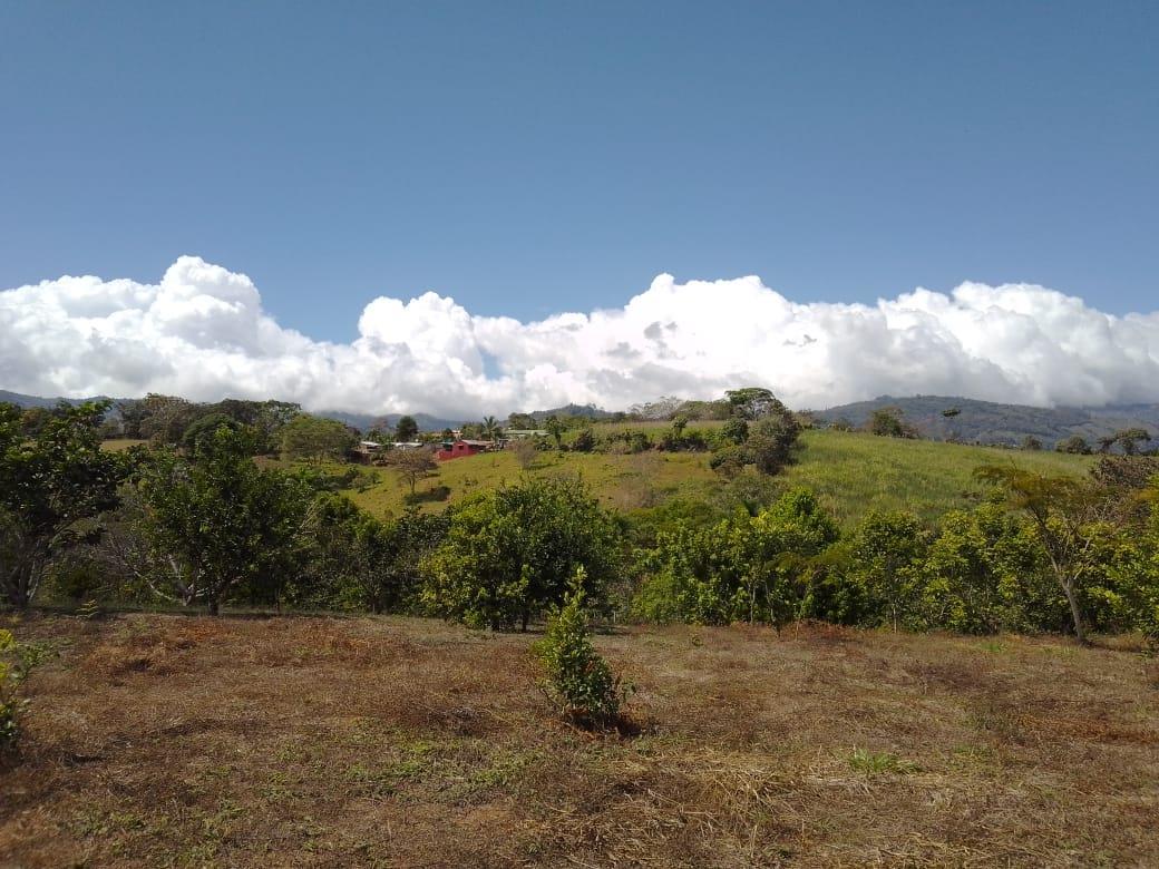Mountain Fruit Farm Lagoon, Perez Zeledon, San Jose