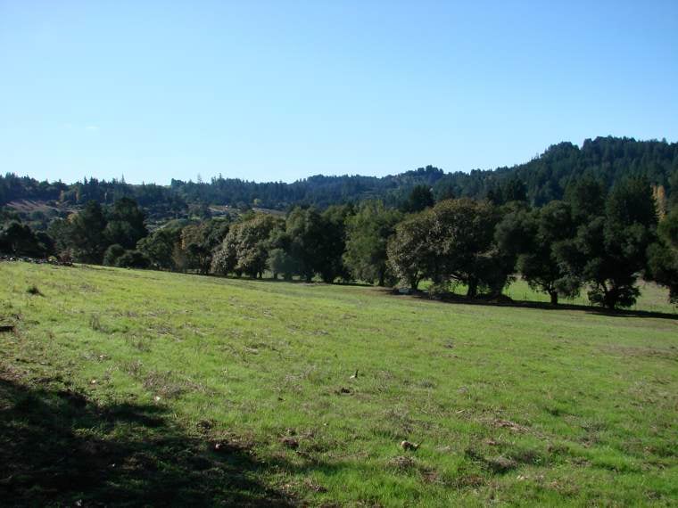 Salmon Family Ranch Sebastopol