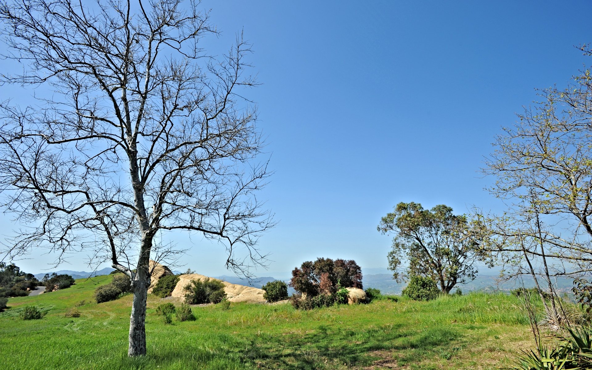 24683 Brown Latigo Rd