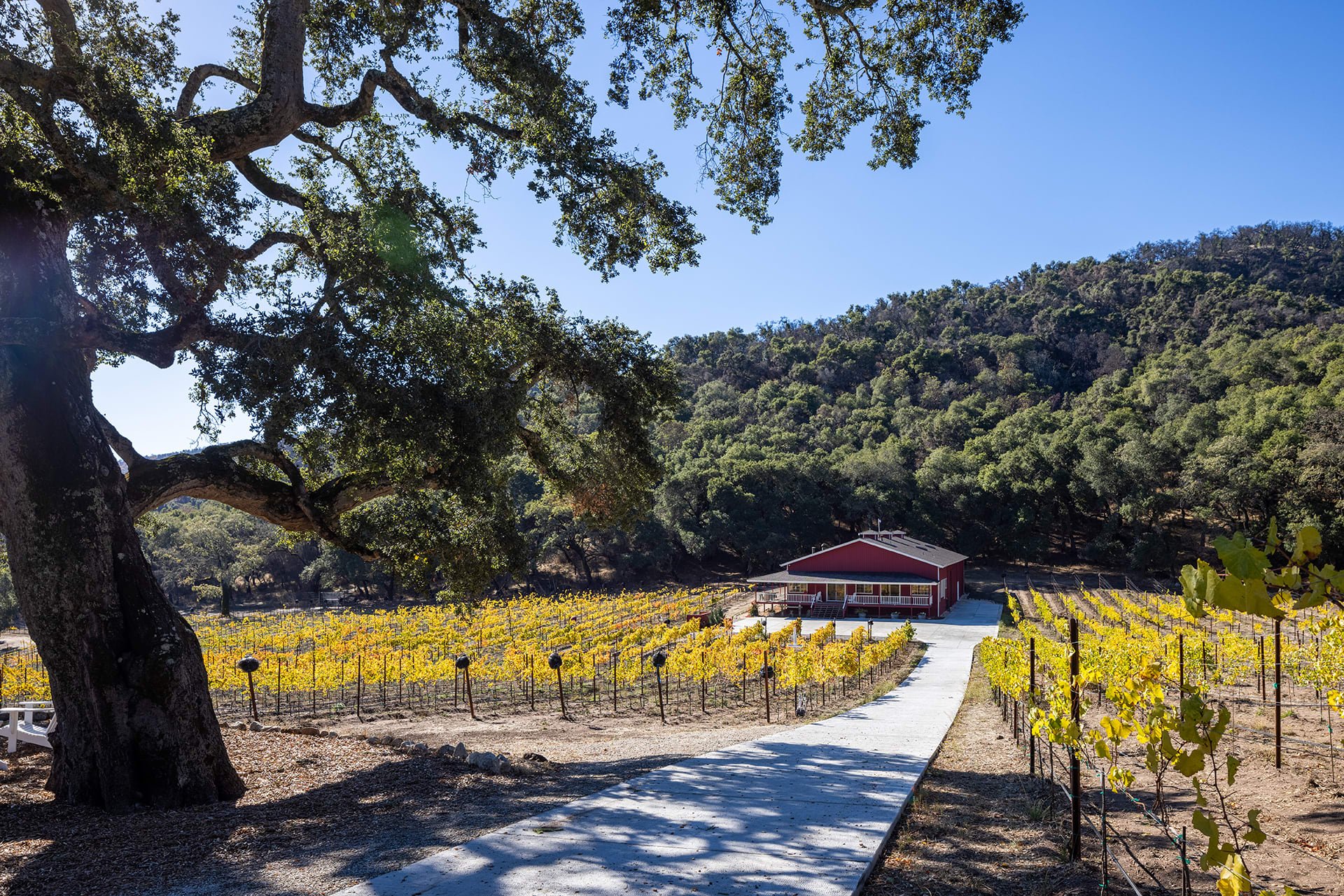 Wine Country Perfection - 17380 Cachagua Road