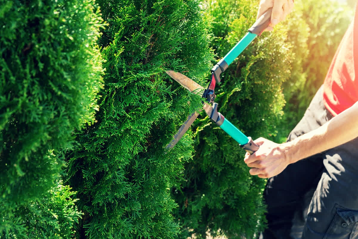 Home Maintenance Checklist