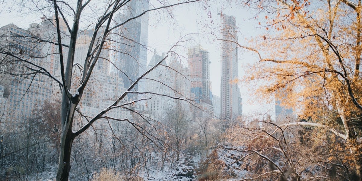 The Market Report - February 2019