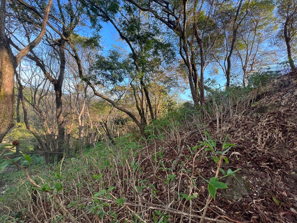 Gated Community Ready Build Lot, Santa Teresa, Puntarenas