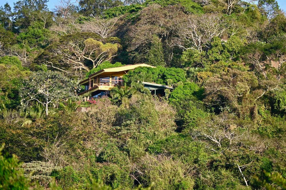 Natureza Viva