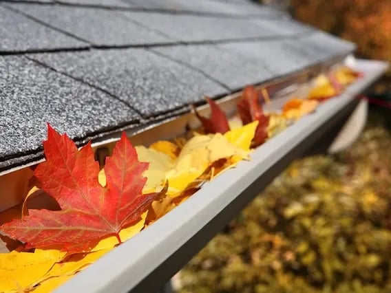Fall Maintenance Checklist