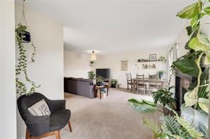 308-2527 Quadra St