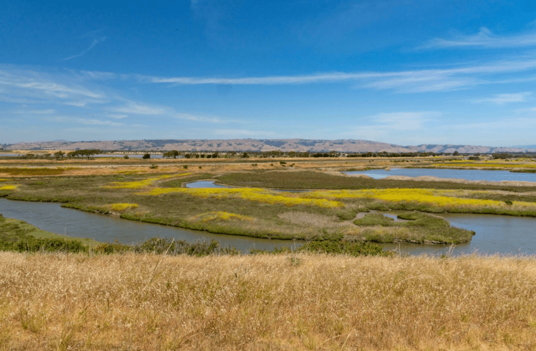 The image shows a scenic view of a marsh with mountains in the background.