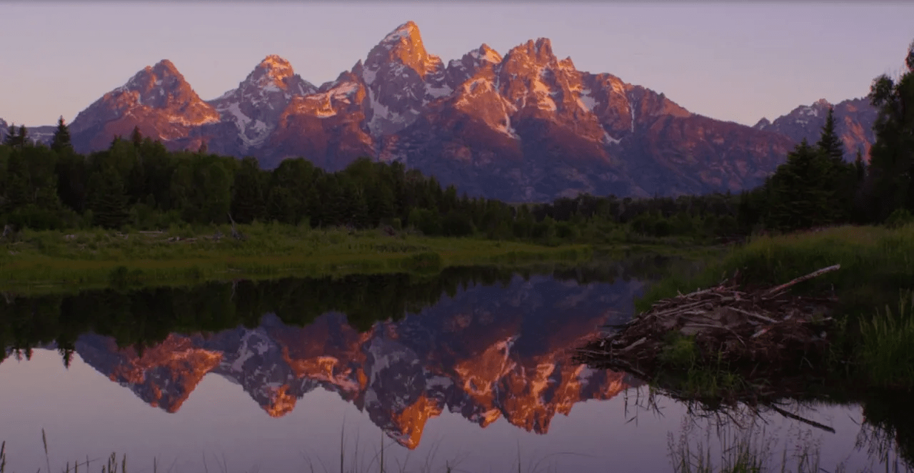 Summer in Jackson Hole: Forever