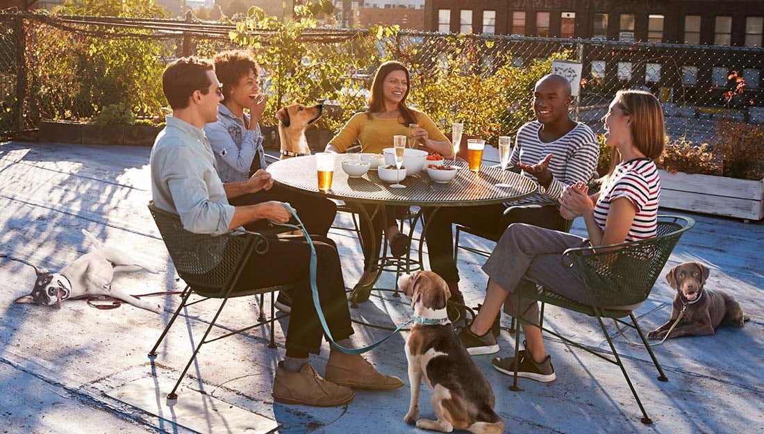 Denver’s Best Patios