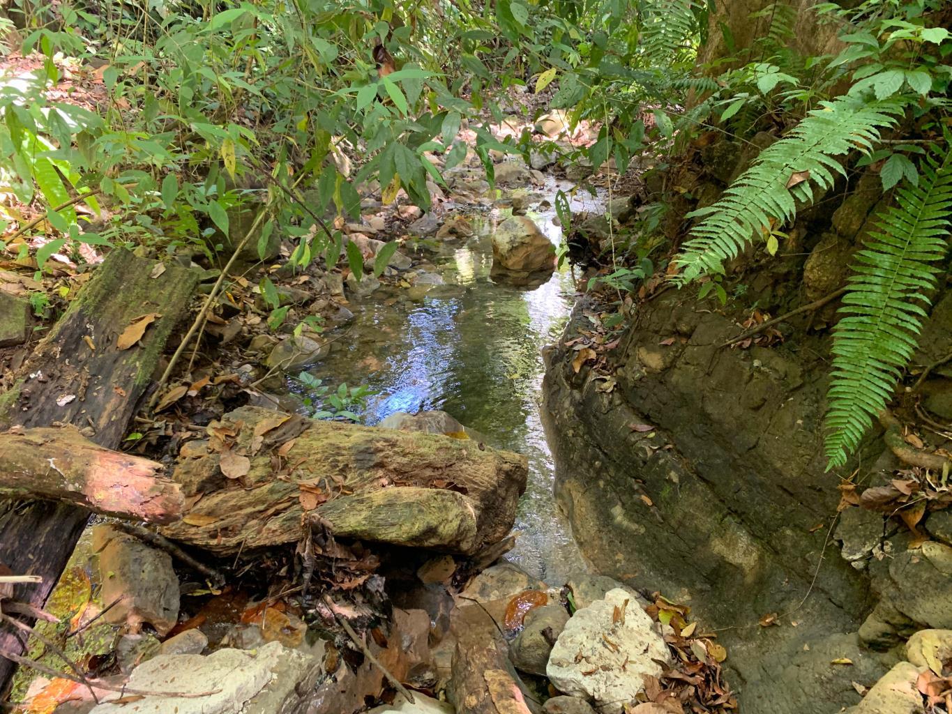 Prime 286-Acre Ocean View Property for Sale Near Quepos, Costa Rica – Ideal for Development