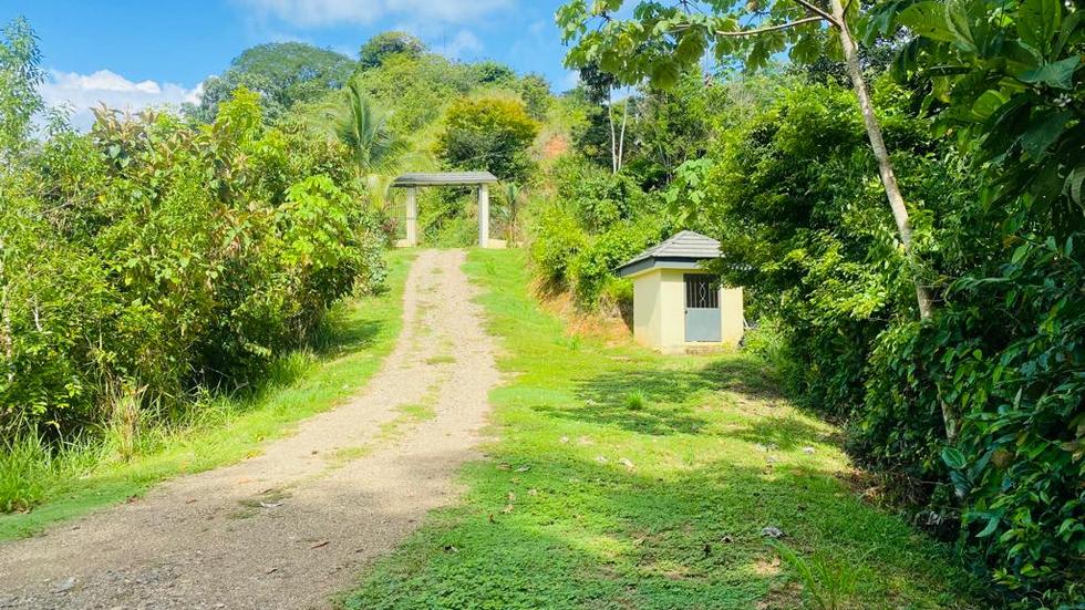 Casa Linda Vista with Ocean View Above Dominical Beach