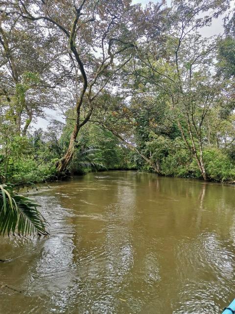 1836 Acre Farm With Streams and Primary Jungle at the Basin of Sierpe