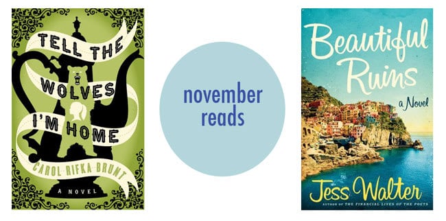 Novel Novels | November Reads