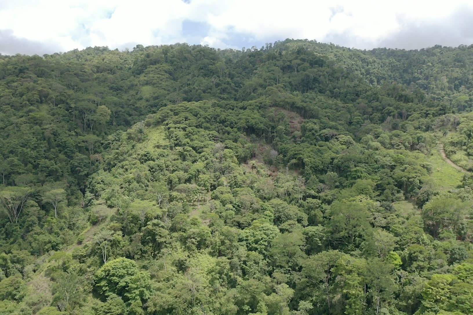 42 Acres With Waterfalls, Ocean Views & Multiple Building Sites Sliencio Ariba