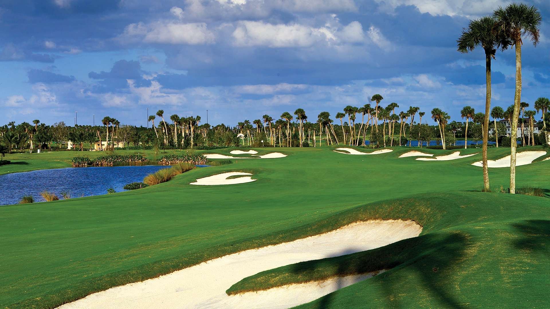7 Reasons Why the World's Top Athletes Call Jupiter Home