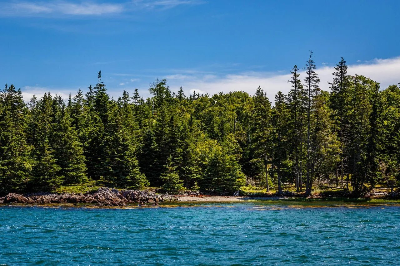 Build Your Dream Oceanfront Home