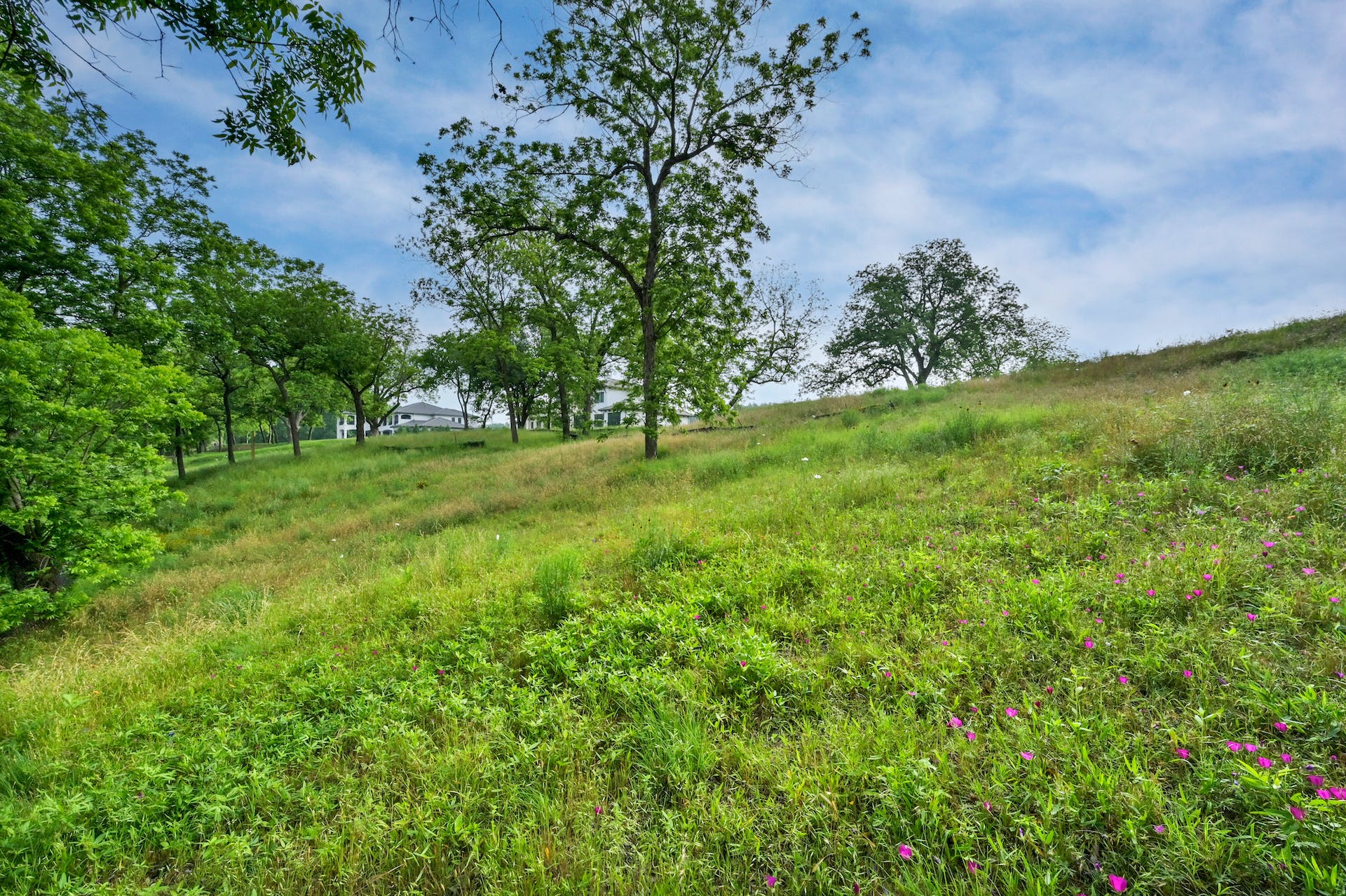 14116 Flat Top Ranch Road
