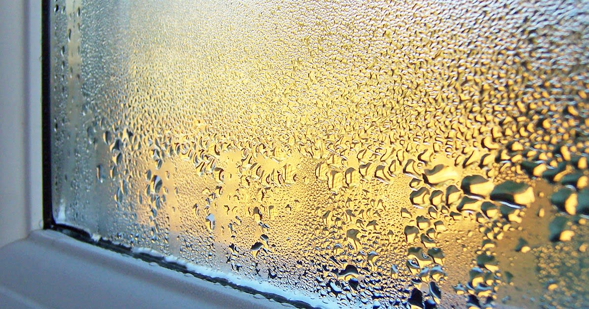 Interior Condensation Solutions