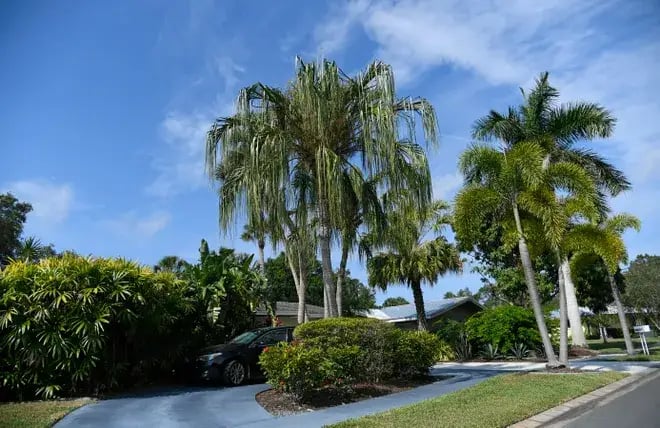 Why waiting for lower interest rates may not work in your best interests