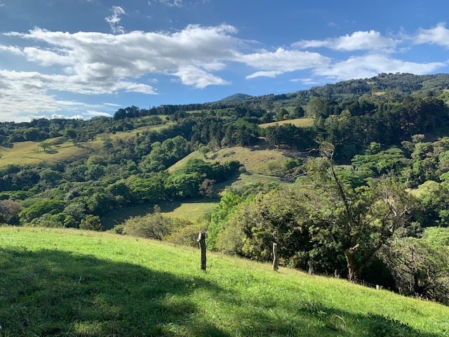 Vast Mountain Farm Acreage, Heredia