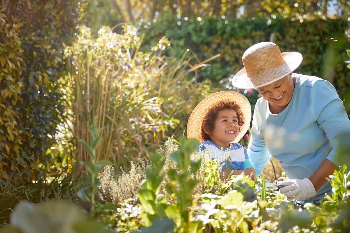 gardening
